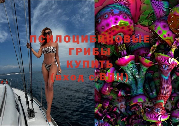 бошки Дмитров