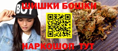индика Ирбит